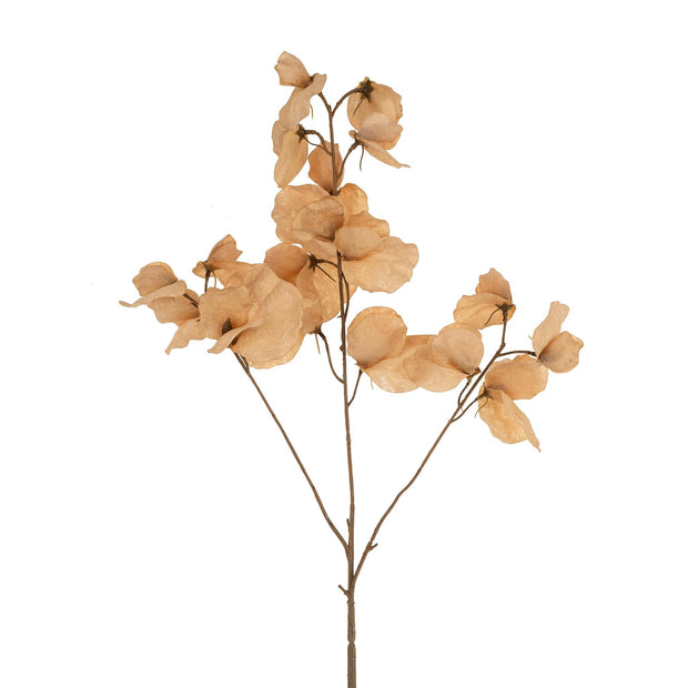 Indaba - Sweet Pea Floral Stem