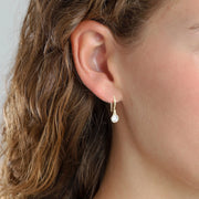 Pilgrim - Lucia Earrings Gold-Plated