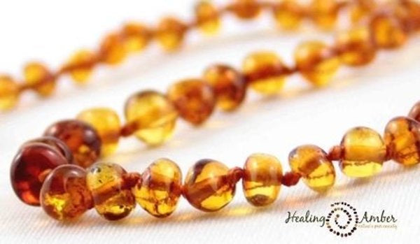 Healing Amber - 11" Necklace Caramel (Clasp)